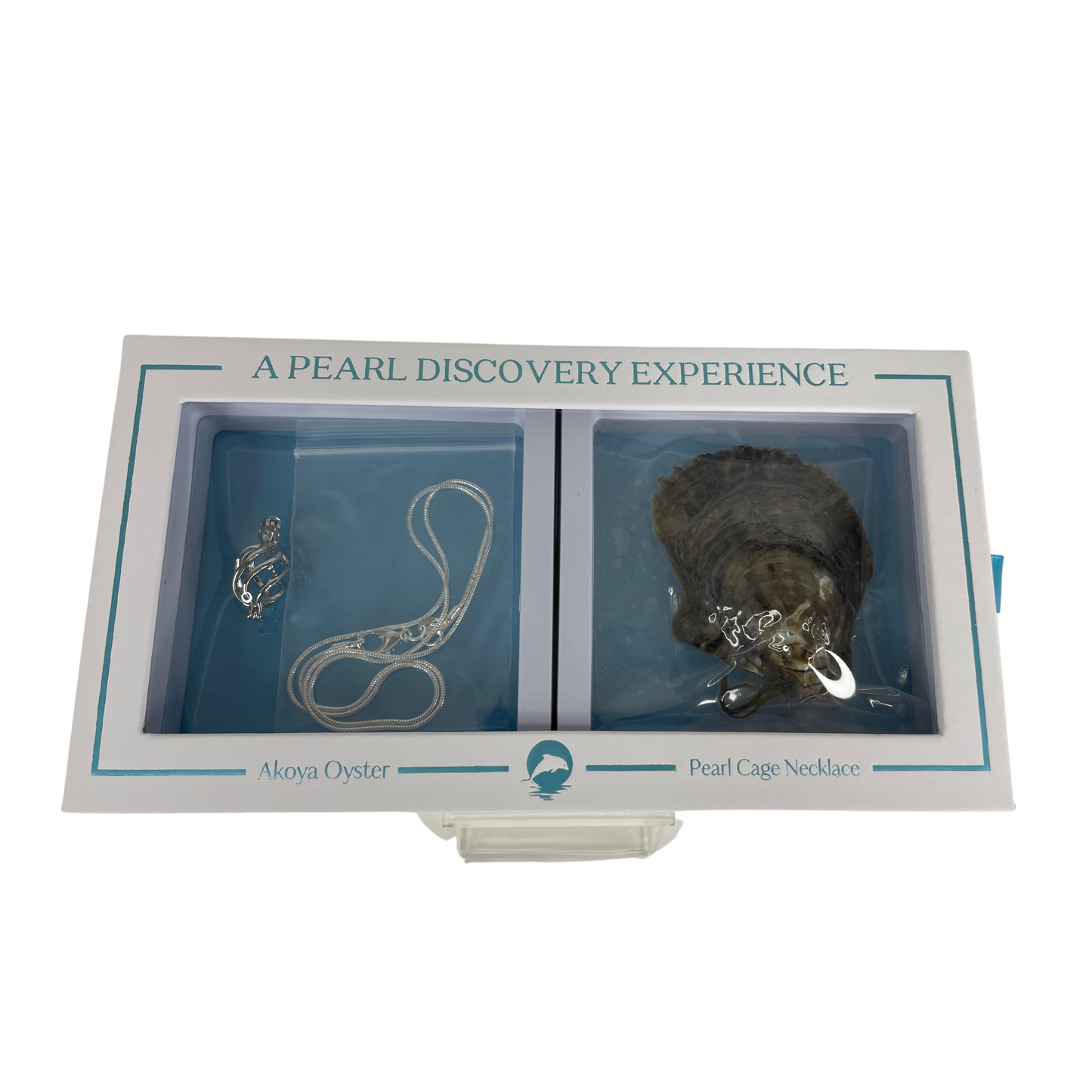 Twist - DIY Oyster and Necklace Box Set