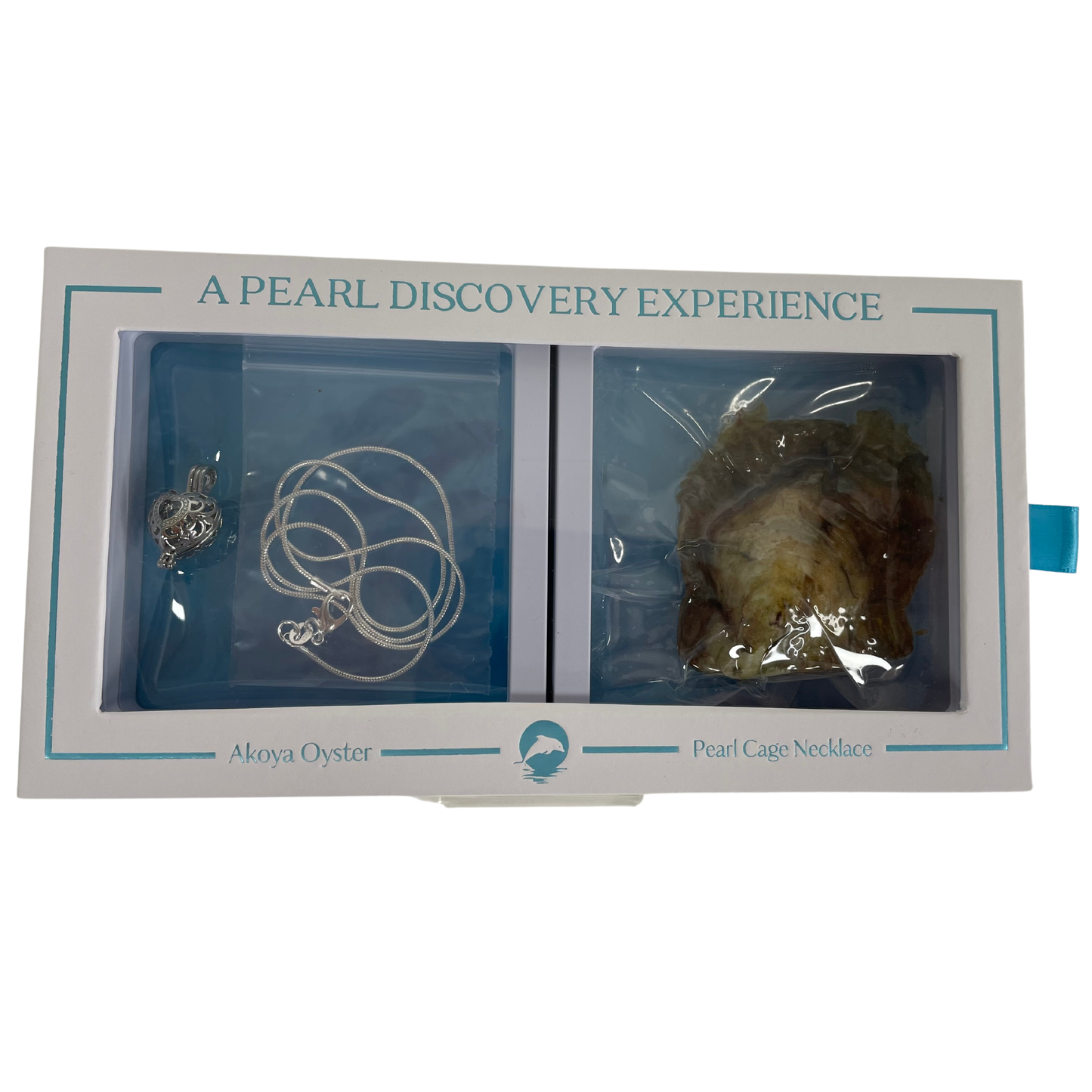 Heart - DIY Oyster and Necklace Box Set