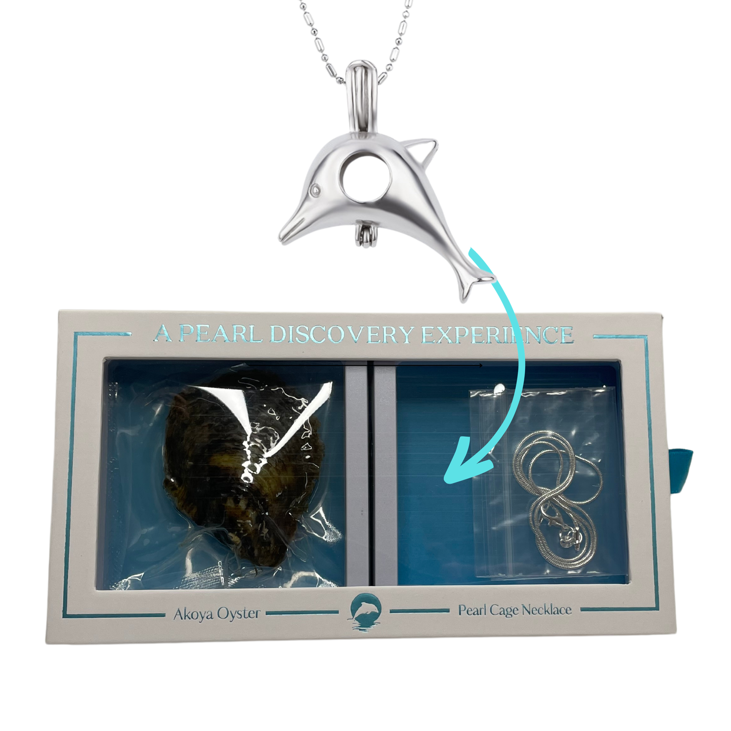 Dolphin  - DIY Oyster and Necklace Box Set