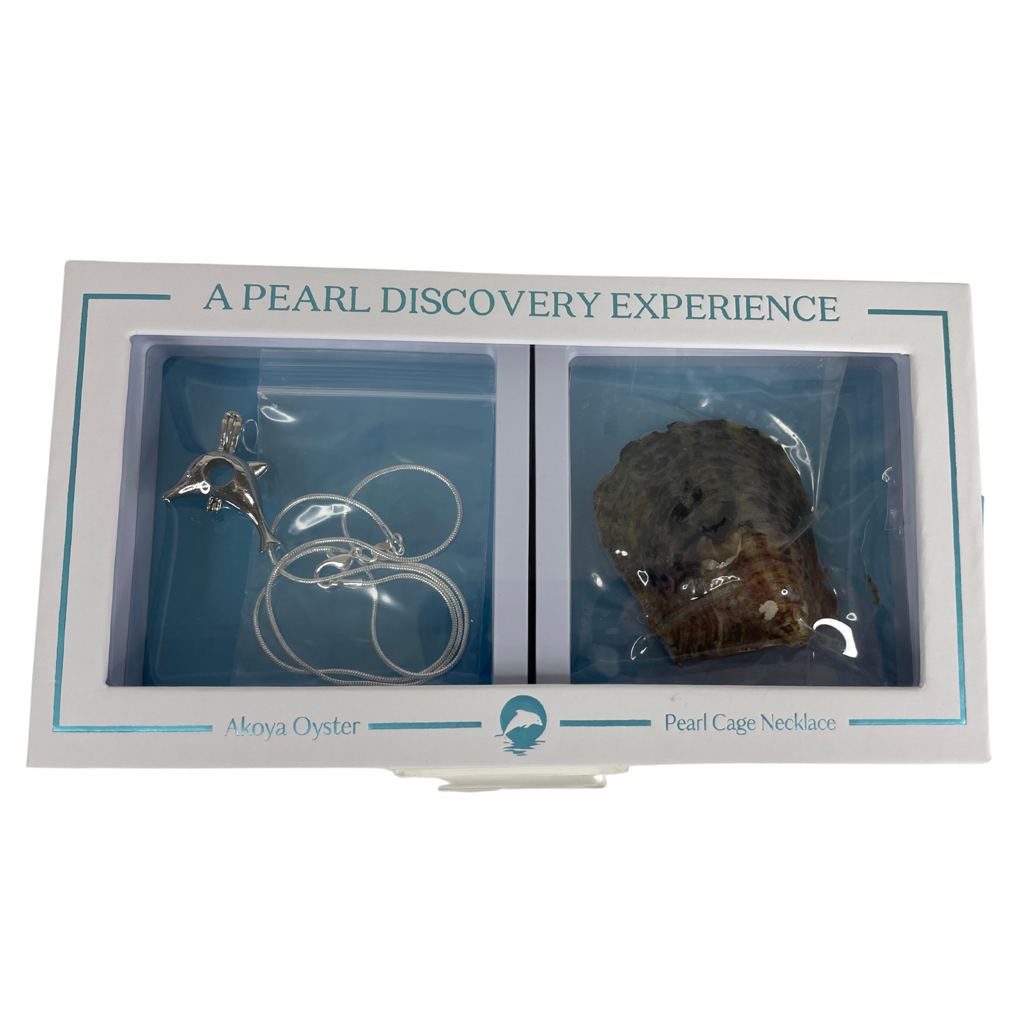 Dolphin  - DIY Oyster and Necklace Box Set